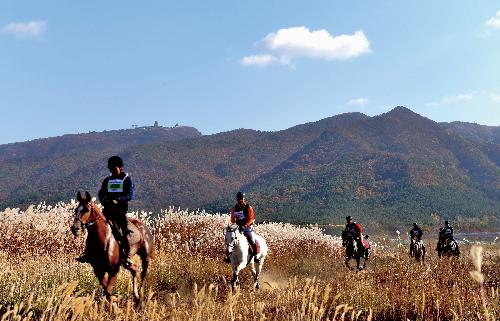 제5회전국부안관광사진공모전(새만금승마대회/입선)